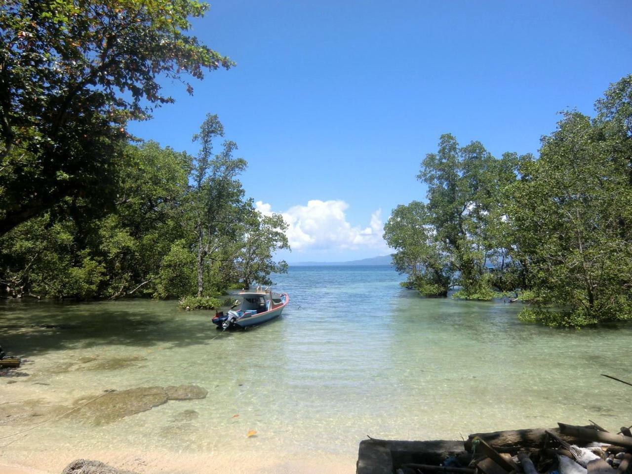 Sea Garden * Bunaken